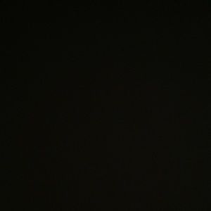 Meet your Posher, Shamaree